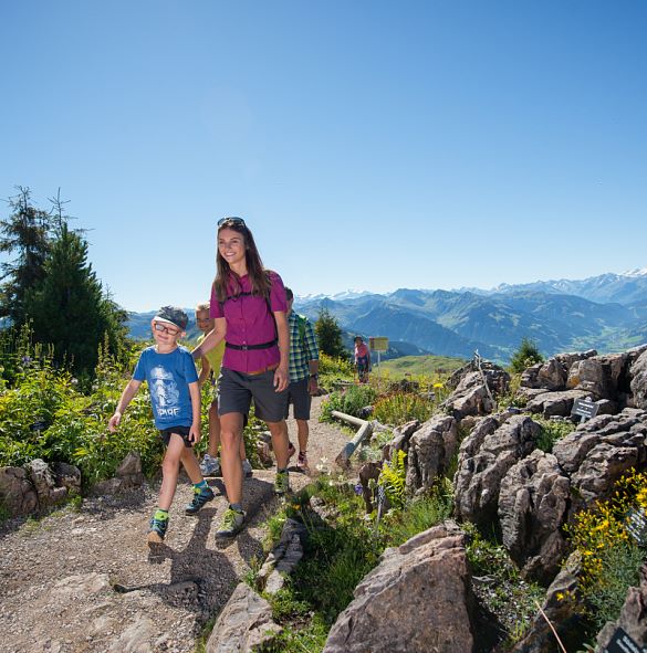 Kitzbüheler Alpen im Sommer
