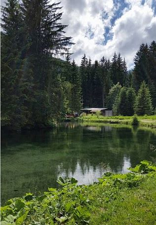 Greither Weiher bei Tannheim