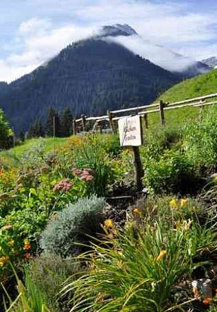 Senns WunderWanderWeg
