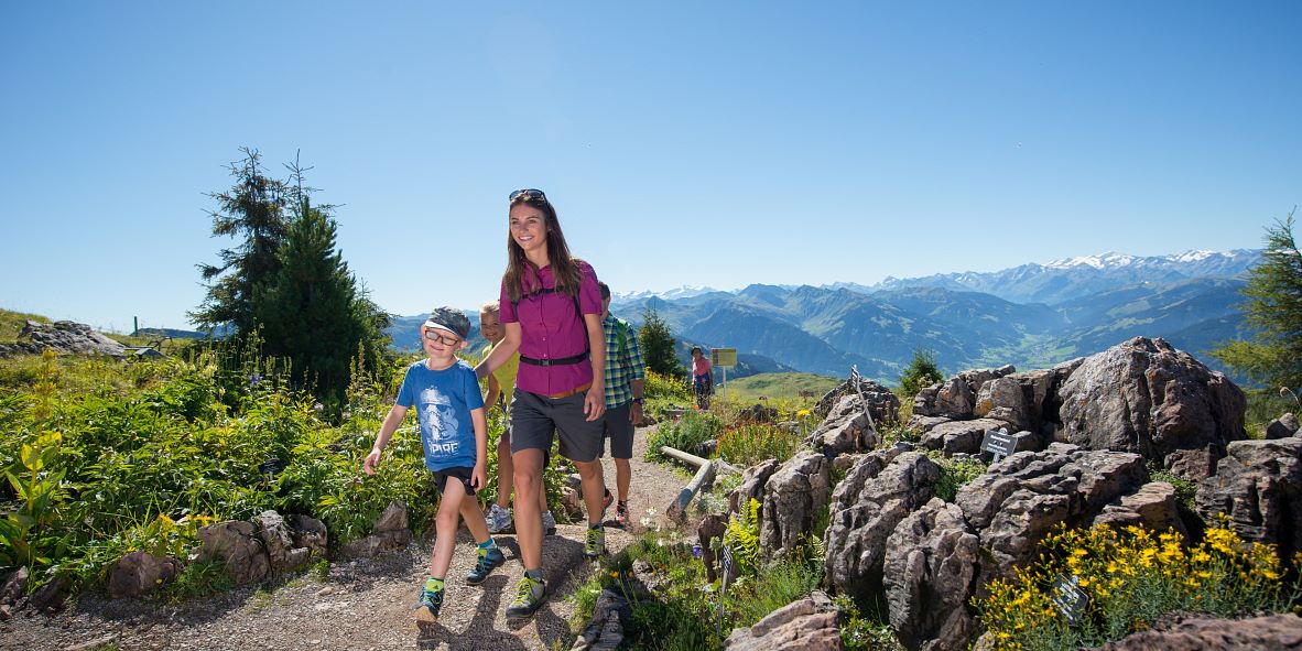 Kitzbüheler Alpen im Sommer