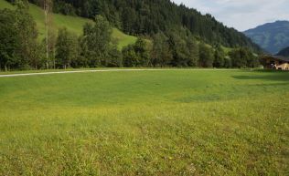 Jugendreisen Tyrol Brixental Hopfgarten hoe Wiese