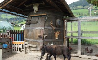 Salzburger Land Zell am See Piesendorf Gruppenunterkunft Tiere