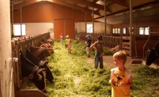 Tirol Zillertal Gerlos Gruppenunterkunft Kuhstall Kinder